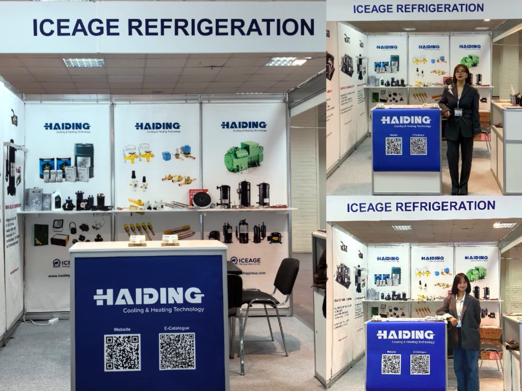 Haiding at 2024 Climate World Expo_01