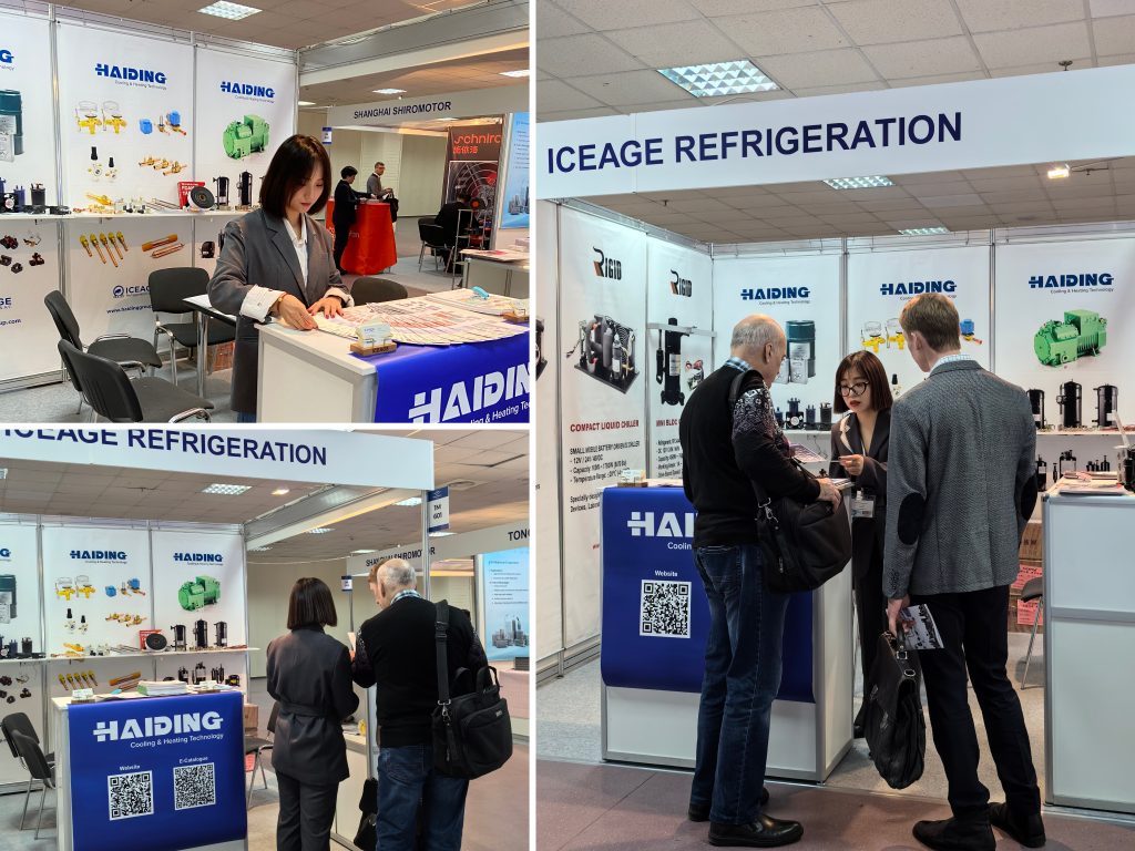 Haiding at 2024 Climate World Expo_02